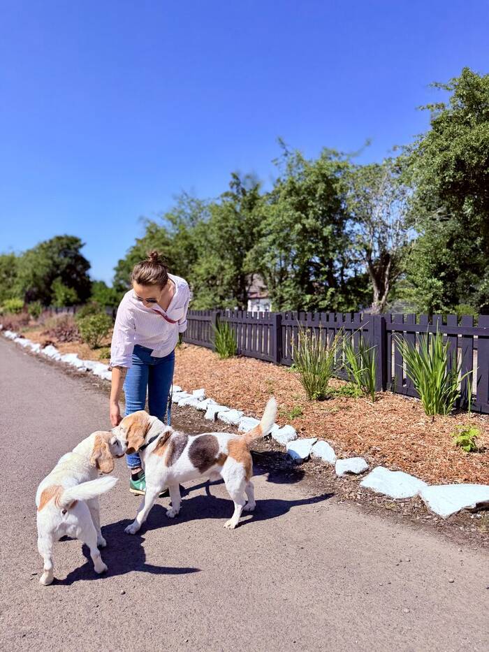 Katie greeting two dogs on a walk